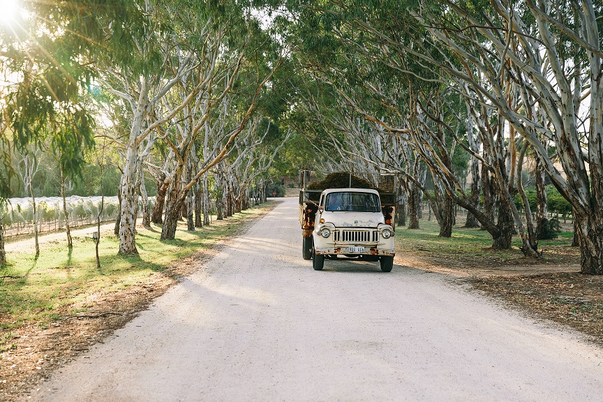 Peter Lehmann Truck